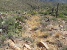 photo thumbnail #8