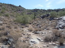 photo thumbnail #3