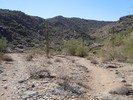photo thumbnail #4