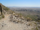 photo thumbnail #6