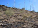 photo thumbnail #12