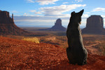photo thumbnail #9