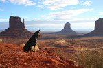 photo thumbnail #10