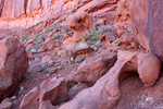 photo thumbnail #15