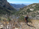 photo thumbnail #3