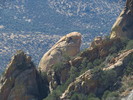 photo thumbnail #5