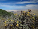photo thumbnail #12