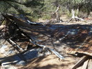 photo thumbnail #14
