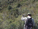 photo thumbnail #4