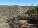 photo thumbnail #2