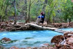 photo thumbnail #4