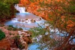 photo thumbnail #13