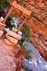 photo thumbnail #12