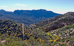 2013-11-02 :1: Reavis Ranch via 109 North :: tibber