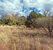 photo thumbnail #15