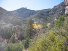 photo thumbnail #8