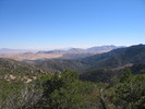 photo thumbnail #11