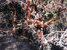 photo thumbnail #13