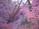 photo thumbnail #14