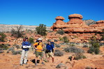 photo thumbnail #4