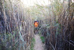 photo thumbnail #9