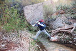 photo thumbnail #10