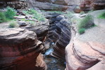 photo thumbnail #13