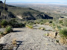 photo thumbnail #12