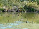 photo thumbnail #3
