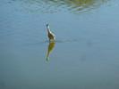 photo thumbnail #14