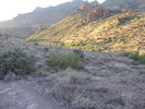 photo thumbnail #5