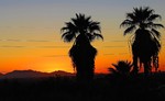 photo thumbnail #7