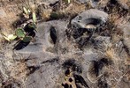 photo thumbnail #8