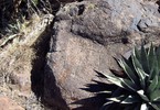 photo thumbnail #14