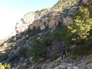 photo thumbnail #2