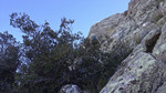 photo thumbnail #14
