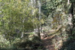 photo thumbnail #7