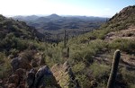 photo thumbnail #7