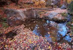 photo thumbnail #9