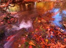 photo thumbnail #10