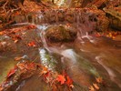 photo thumbnail #11