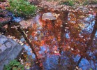 photo thumbnail #12