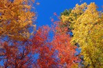 photo thumbnail #15