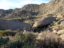 photo thumbnail #8