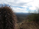 photo thumbnail #12