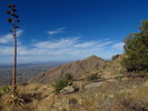 photo thumbnail #7