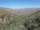 photo thumbnail #4