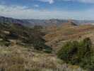 photo thumbnail #7