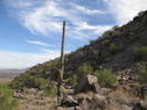 photo thumbnail #7