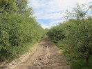 photo thumbnail #12